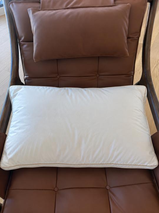 Signature Deluxe Suite Pillow photographed by Lauren H. at home
