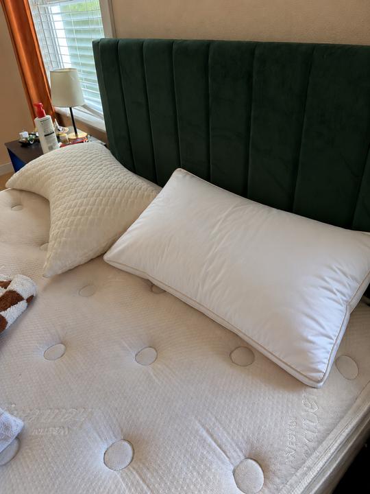 Signature Deluxe Suite Pillow photographed by Nicole P. at home
