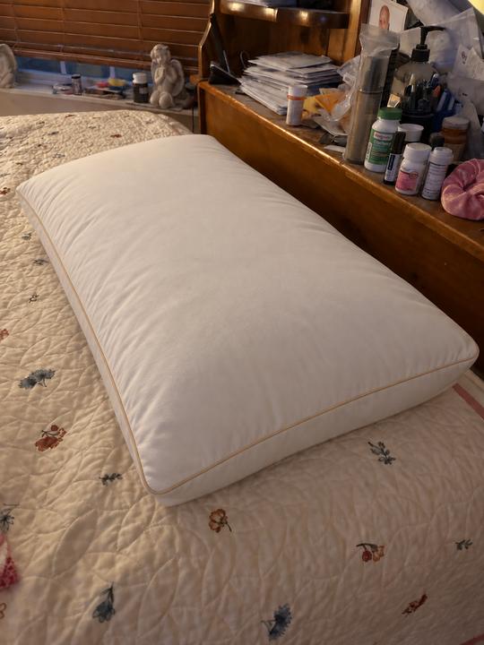 Signature Deluxe Suite Pillow photographed by Jennifer L. at home