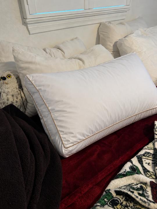 Signature Deluxe Suite Pillow photographed by Michelle A. at home