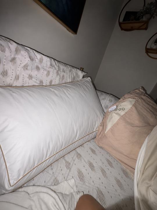 Signature Deluxe Suite Pillow photographed by Michael V. at home