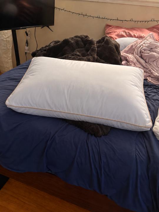 Signature Deluxe Suite Pillow photographed by Matthew O. at home
