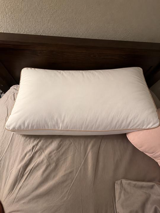 Signature Deluxe Suite Pillow photographed by Christopher J. at home